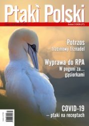 Ptaki Polski 3/2020